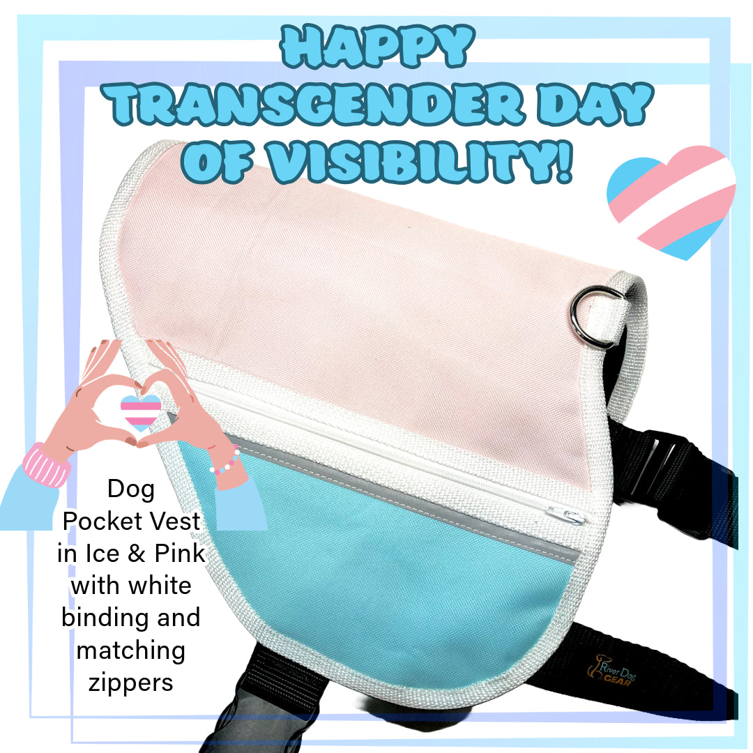 Dog Chroma Pocket Vest - Transgender PRIDE Pink & Blue