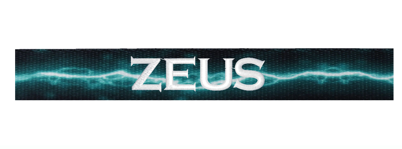 Custom Embroidered Dog Collar