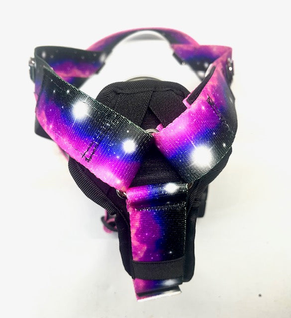 Canyon Dog Harness GALAXY PURPLE - Size Large