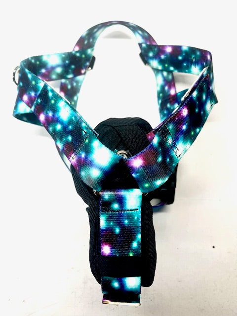 Canyon Dog Harness GALAXY GREEN- Size Large