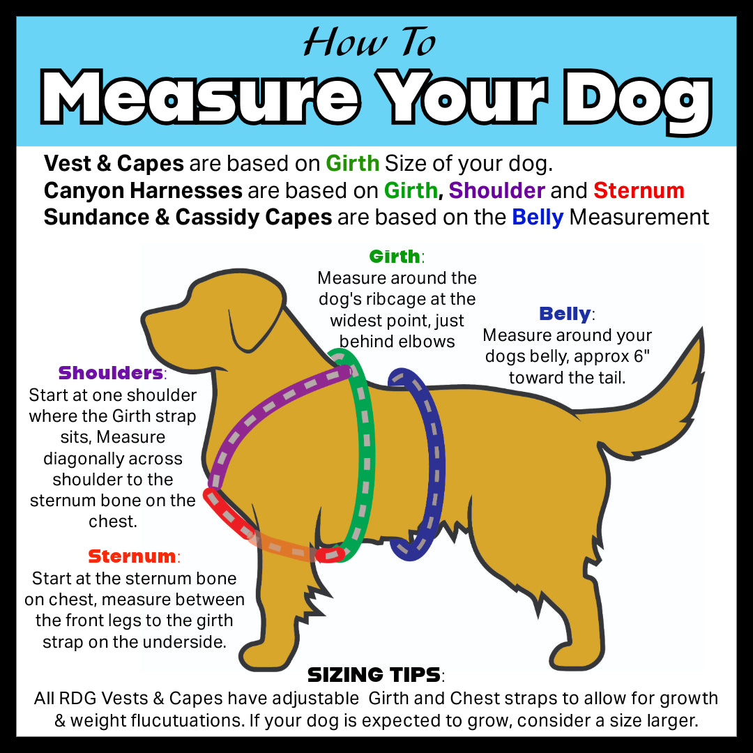 Custom Company Program Service Dog Vest for The Urban K9 Academy