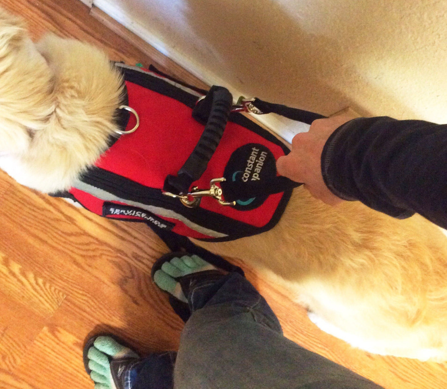 Pull Strap Handle for Mobility Harness