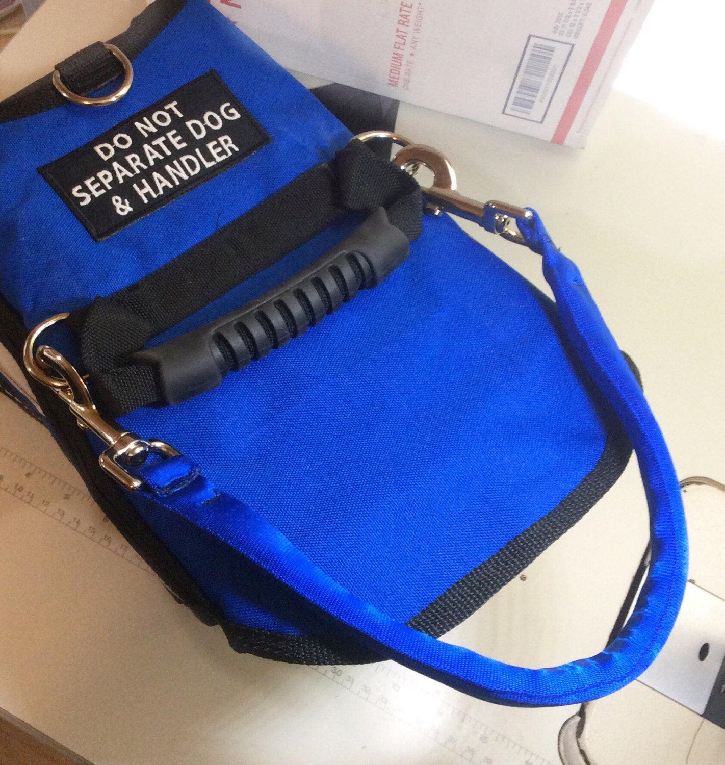 Pull Strap Handle for Mobility Harness