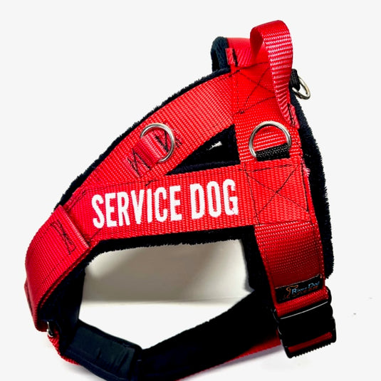 Custom Gear for Working Service Dogs River Dog Gear