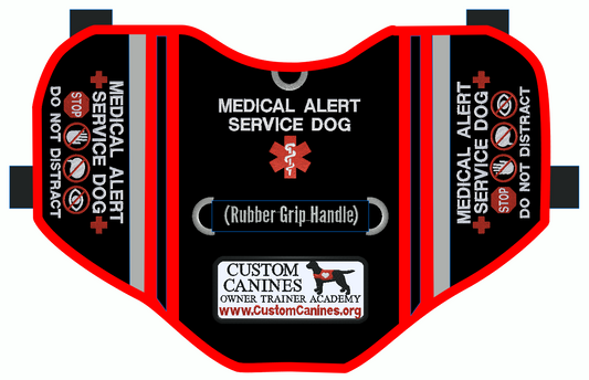 Custom Dog Harness and Vest set for Gala G