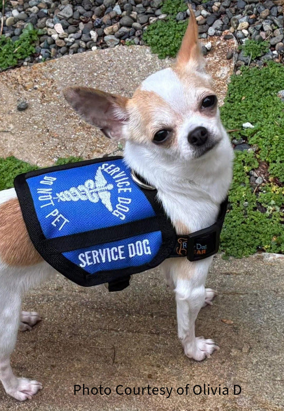 Dog Gear Psychiatric Service Dog Vest Color Teacup Tiny Dog Vest