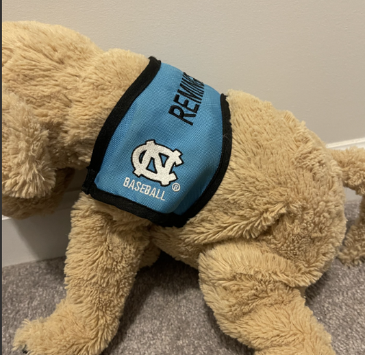 Paws 4 People Stuffed Animal Mini Demo Toy Capes