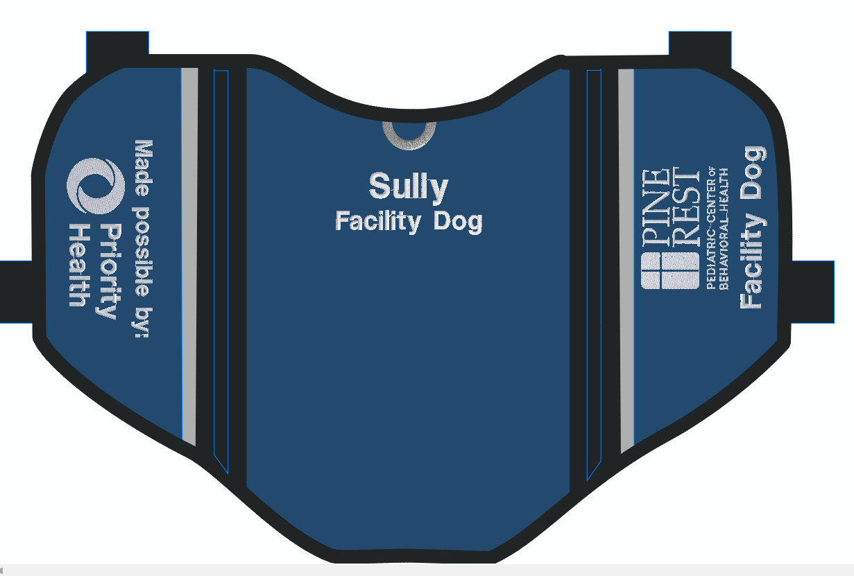 Priority Pups Custom Dog Vest for Sully - size X Large
