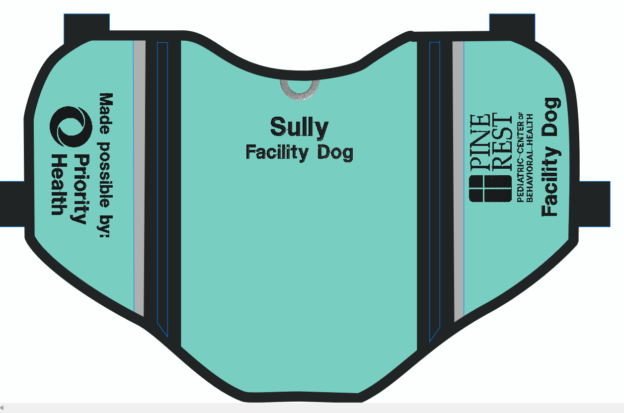 Custom Service Dog Vest Order for Kayla