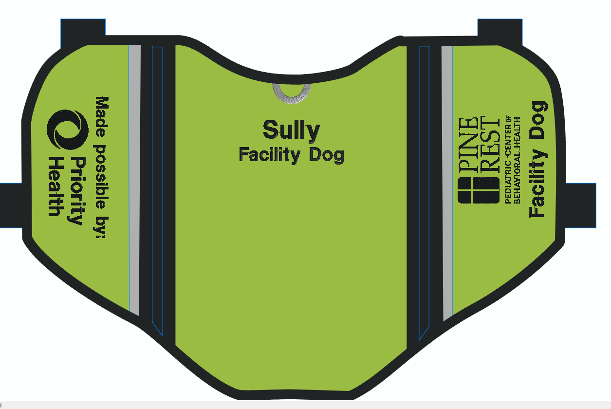 Custom Service Dog Vest Order for Kayla