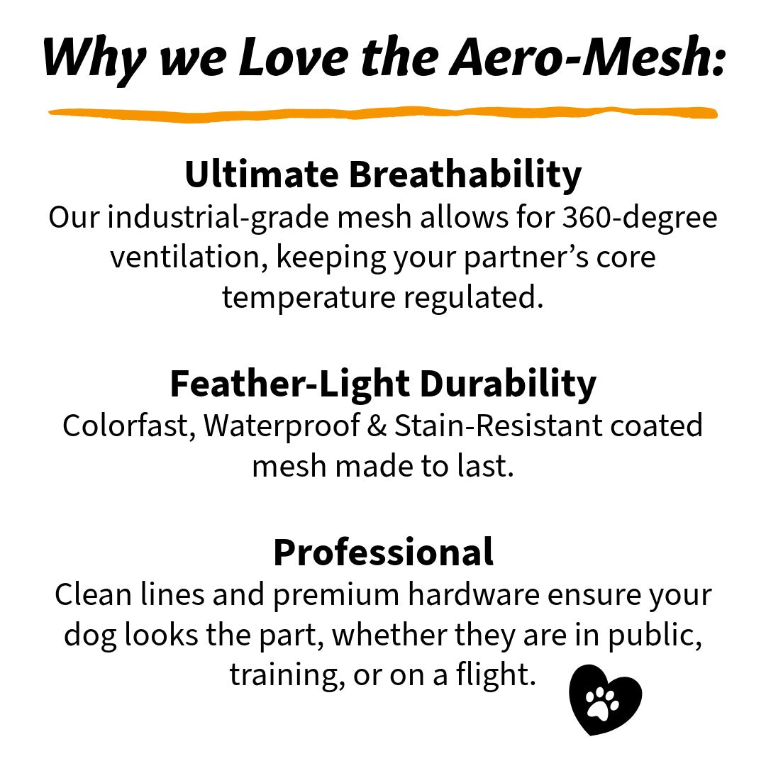 Aero Mesh Dog Cape