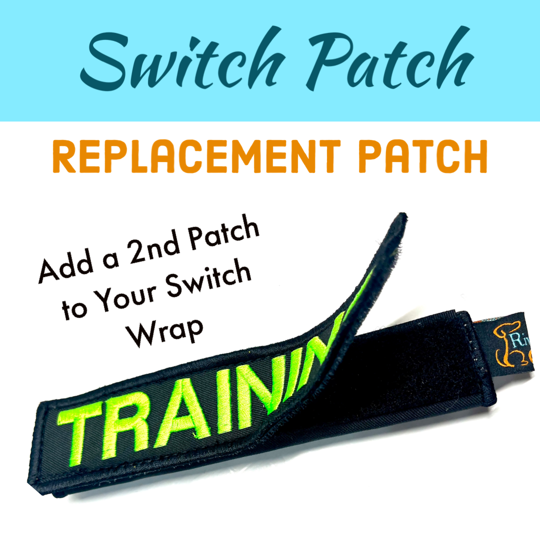 Switch Wrap Extra Patch